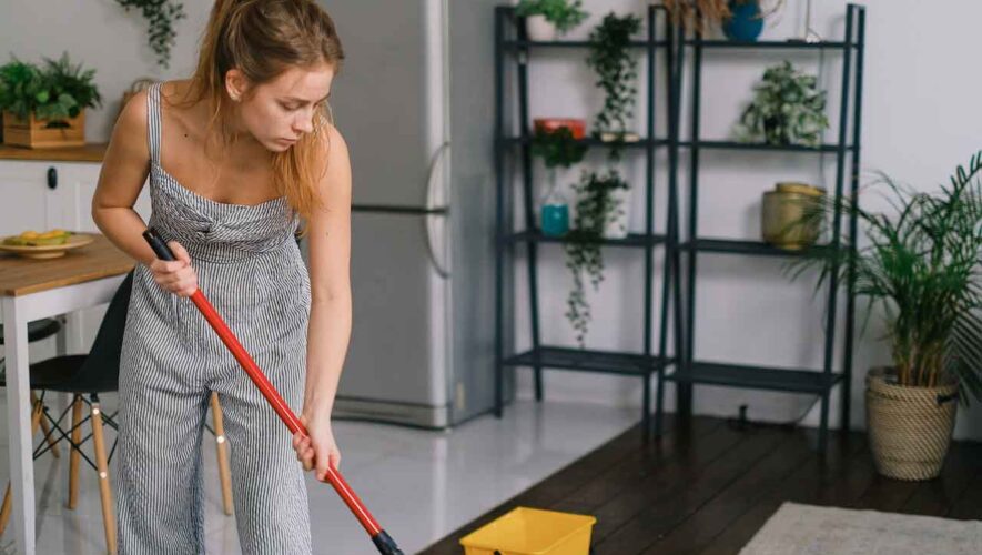 Is It Worth Getting Your Carpets Professionally Cleaned?